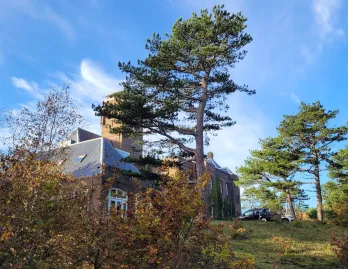 c1adb6d7-3b20-4488-96e3-e69fb44f8007 c1adb6d7-3b20-4488-96e3-e69fb44f8007