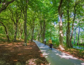 cd24e617-ae84-4a8c-876a-9a0fc68634f2 cd24e617-ae84-4a8c-876a-9a0fc68634f2