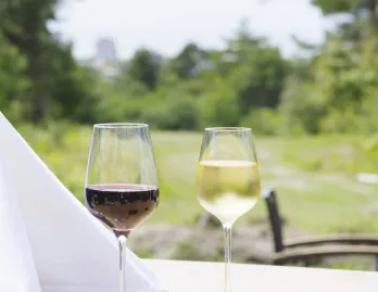 540aaaf1-0390-411c-9853-6008380700d2 540aaaf1-0390-411c-9853-6008380700d2