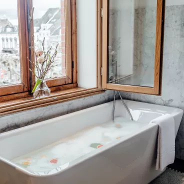 Deluxe suite vrijstaand bad met uitzicht maastricht babymoon.jpg